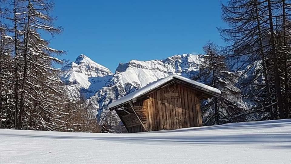 Haus Gamskogl Appartement Neustift im Stubaital Buitenkant foto