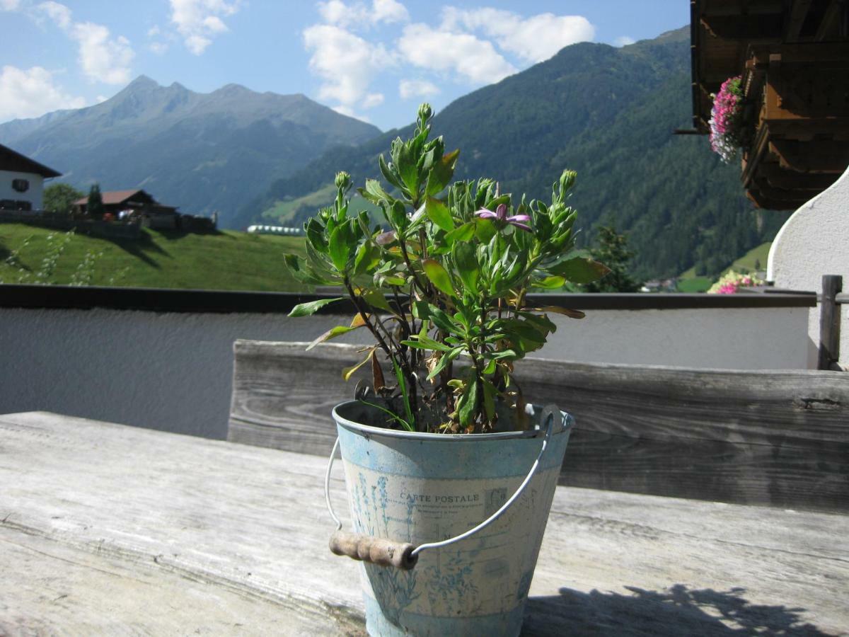 Haus Gamskogl Appartement Neustift im Stubaital Buitenkant foto